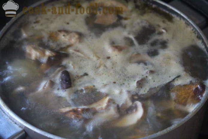 Kárpátalja leves fehér gomba -, hogyan kell főzni leves fehér gomba finom, egy lépésről lépésre recept fotók