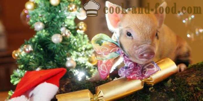 Egyszerű receptek Újévi 2019- mit főzzön New Year 2019 Year of the Pig (vadkan)