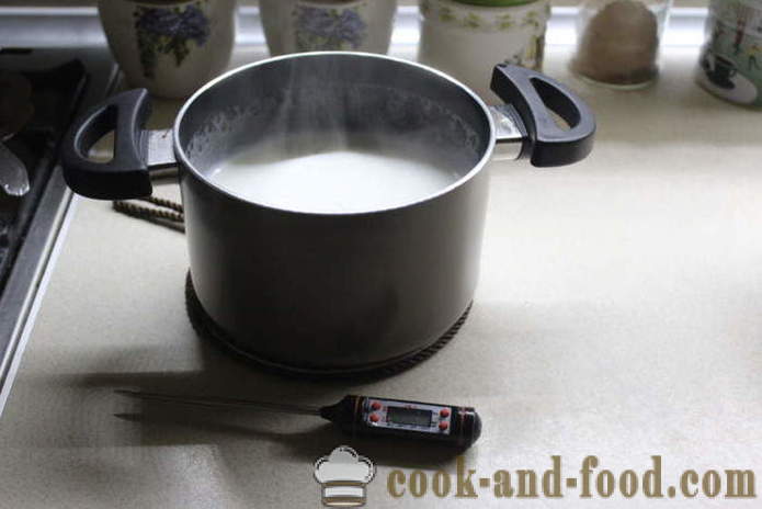 Házi joghurt tejből erjedni - hogyan joghurtot otthon, lépésről lépésre recept fotók