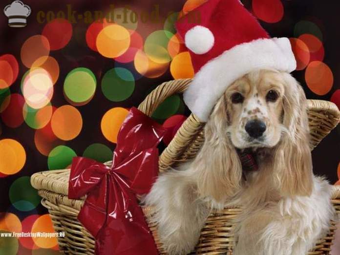 A legjobb virtuális képeslap a szilveszteri 2018 - es év a kutya