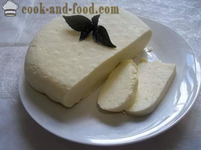 Sajt a tejből sajtot otthon - hogyan sajt otthon, lépésről lépésre recept fotók