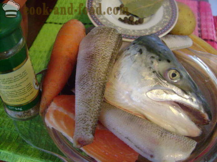 Fül a fejét a halak és más különböző halak - főzni leves hal feje, lépésről lépésre recept fotók