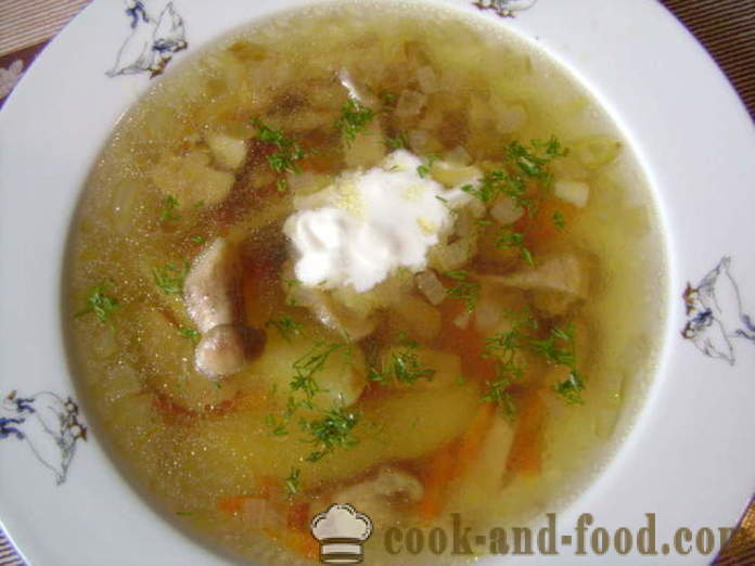 Finom gombaleves a fagyasztott fehér gombák -, hogyan kell főzni a levest a fagyasztott fehér gombák, lépésről lépésre recept fotók