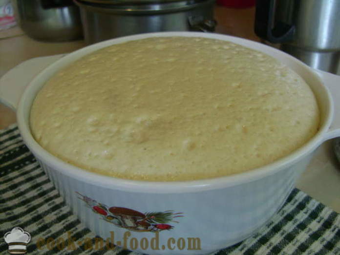 Kelt tészta sült piték tejjel -, hogyan kell elkészíteni a kelt tészta a pitét, sült, egy lépésről lépésre recept fotók