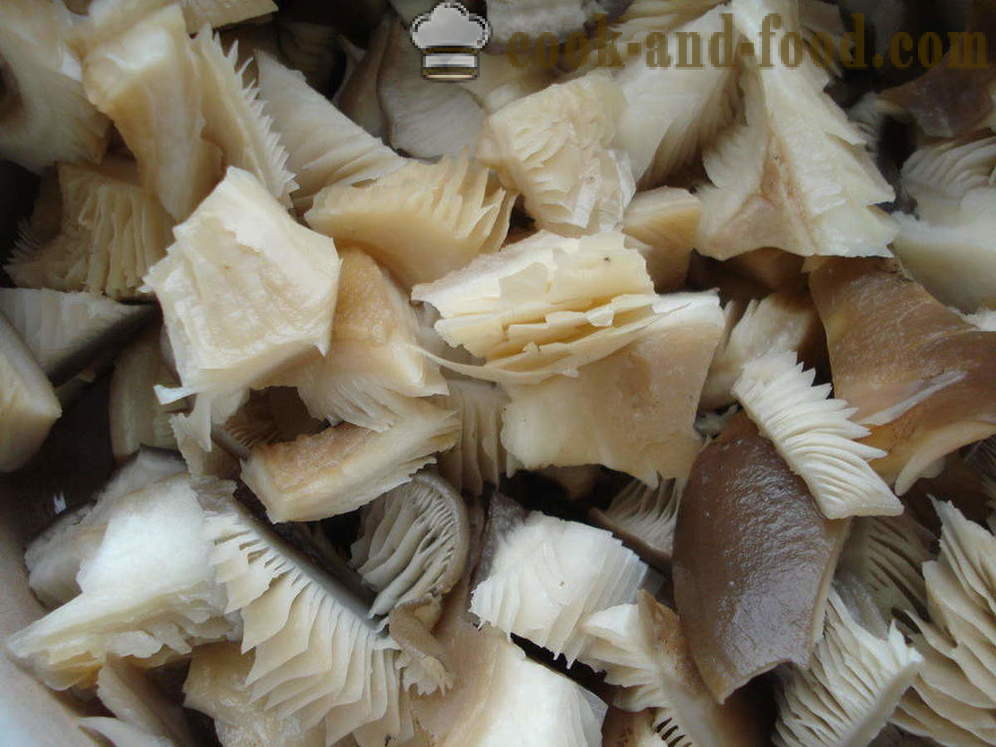 Laskagomba sült hagymával és fűszerekkel - hogyan kell főzni sült laskagomba, lépésről lépésre recept fotók