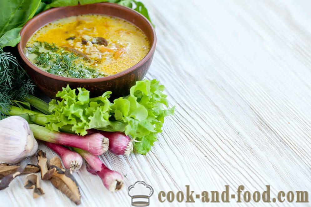 Felkészülés szokatlan ételek: leves zöldborsóval és gombával - videó receptek otthon