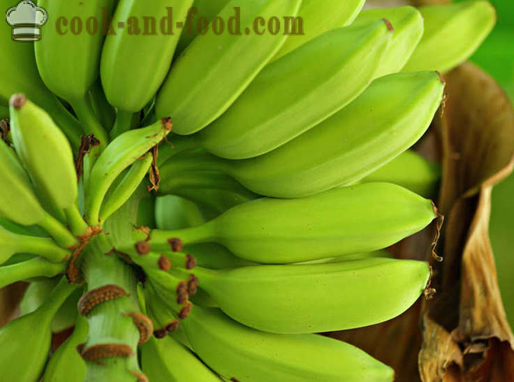 Banán: az afrikai és ázsiai desszert leves - videó receptek otthon